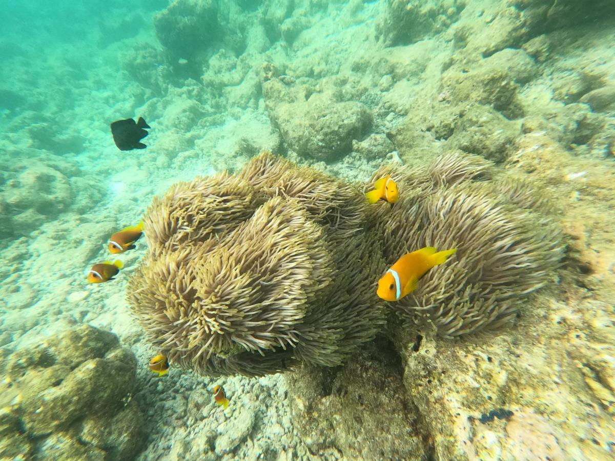 Ocean Vista Maldives,Maafushi Hotel Ngoại thất bức ảnh